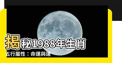 1988年五行缺什么|1988年11月30日出生的人五行缺什么？